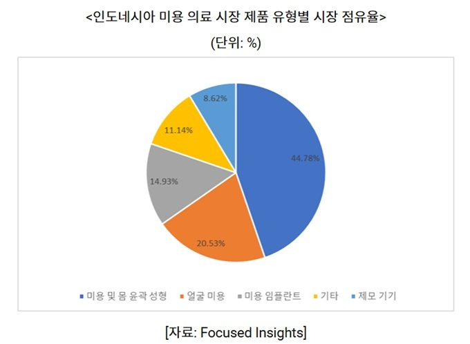 인도네시아, 중산층 확대 및 인식 변화로 미용의료 시장 연 12% 성장